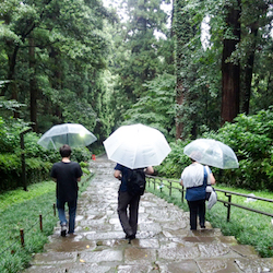 Trois personnes se promènent avec un parapluie